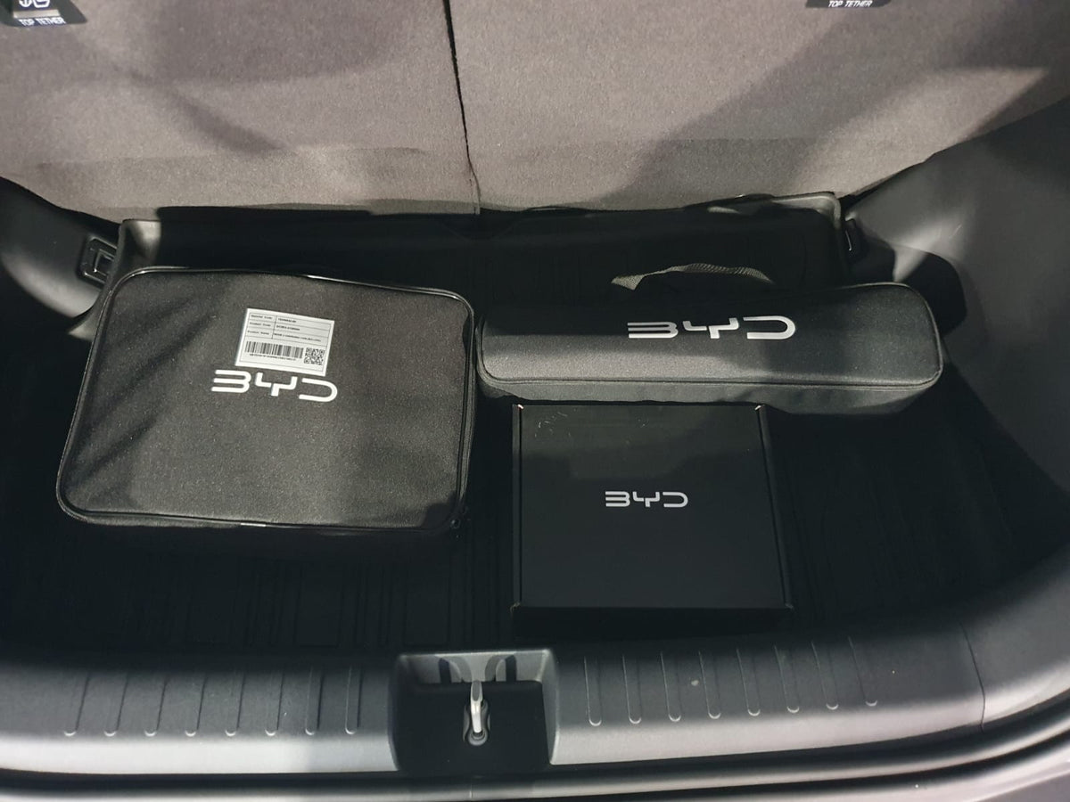 2026 BYD ATTO 1 2878 Km 1IYK211