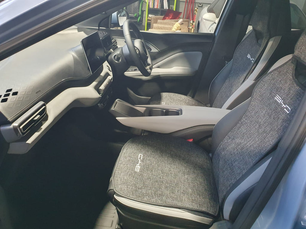 2026 BYD ATTO 1 2878 Km 1IYK211