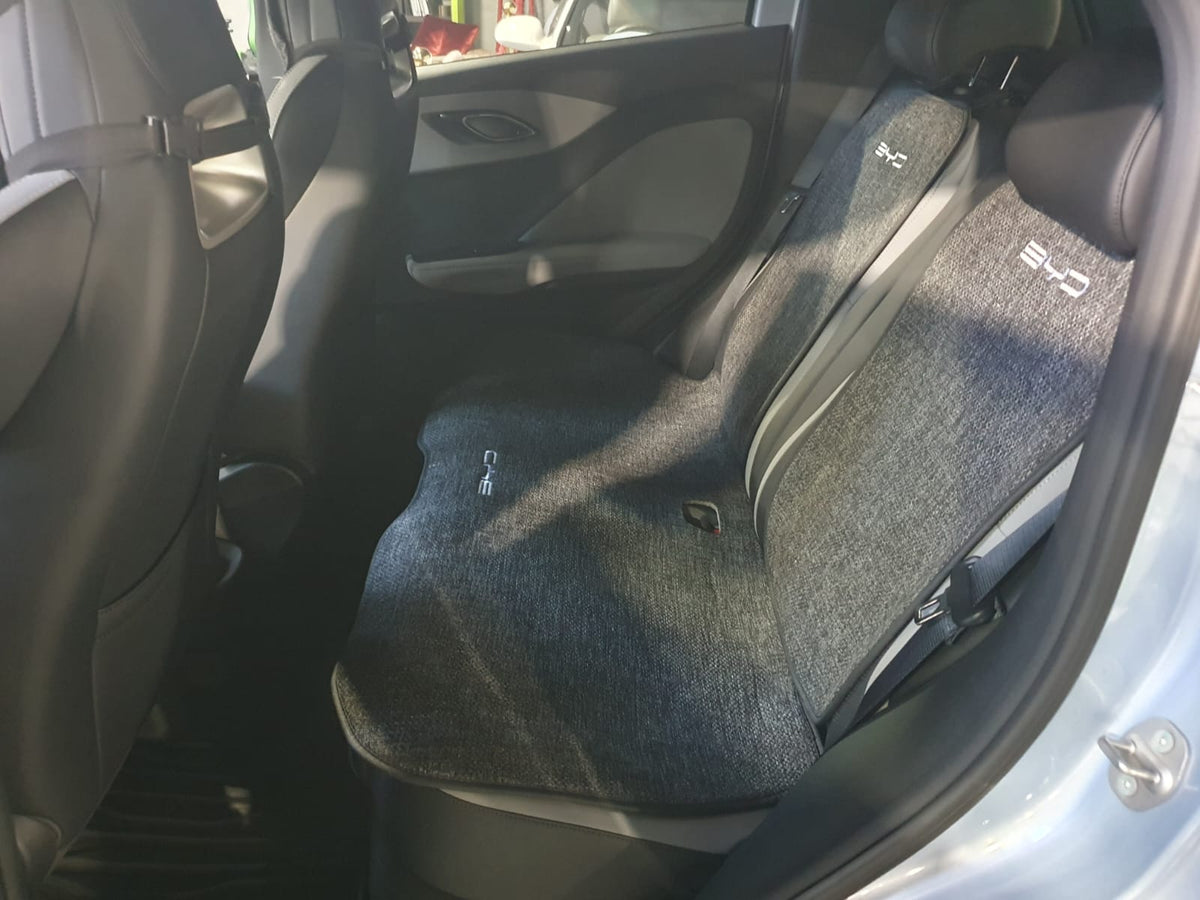2026 BYD ATTO 1 2878 Km 1IYK211
