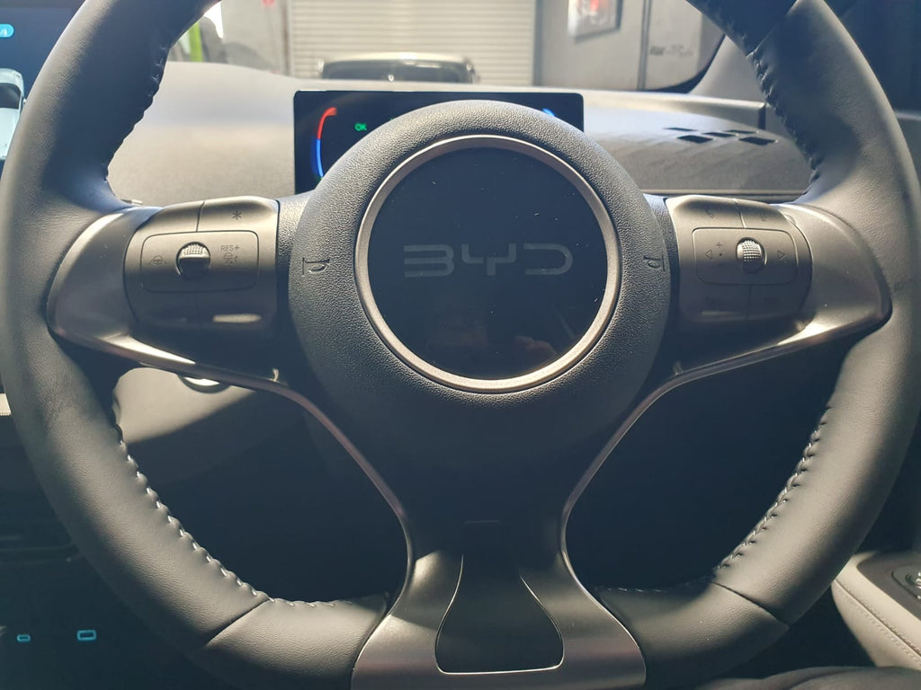 2026 BYD ATTO 1 2878 Km 1IYK211
