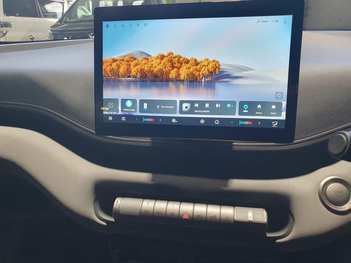 2026 BYD ATTO 1 2878 Km 1IYK211